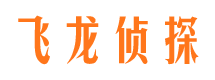 太白市侦探公司